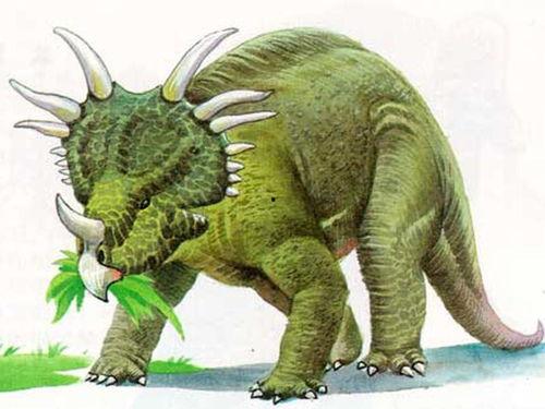 戟龙视频,揭秘古代战争利器戟龙的传奇故事