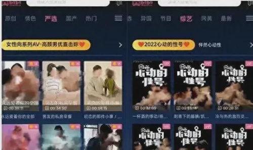 成人在线免费视频网站,内容丰富，安全可靠，畅享娱乐新体验