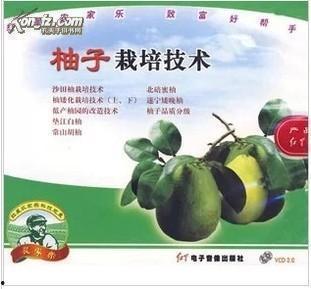 沙田柚种植技术视频,从播种到收获全流程揭秘