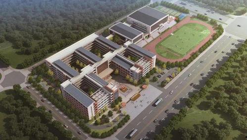 宜春院十次视频免费,揭秘幕后故事与精彩瞬间