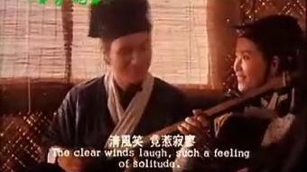 家庭乱世视频,战火中的温情与坚韧