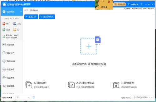 通用视频格式,解码多媒体传播的桥梁