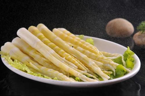 笋芽尖尖舞蹈视频,活力四溢的舞蹈盛宴