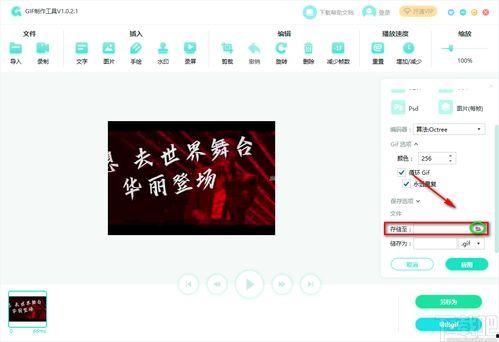 把视频变成gif,轻松捕捉精彩瞬间，瞬间分享快乐时光