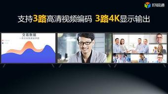 一级高清性视频在线观看