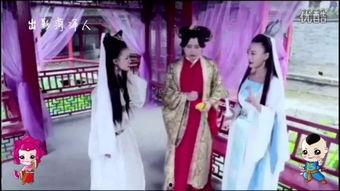 胥渡视频,揭秘历史背后的故事，带你领略文化魅力