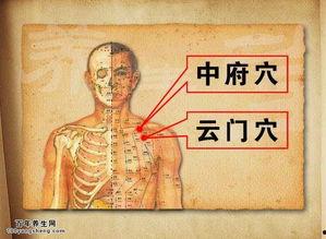 中医穴位视频