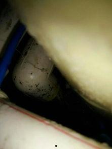 ppr管漏水快速修补方法视频,一招解决烦恼