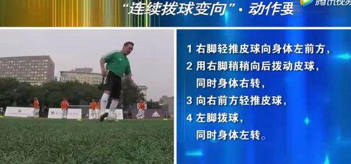 变向教学视频,创新教学策略解析与应用