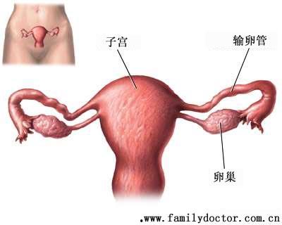 输卵管结扎视频,输卵管结扎手术过程详解