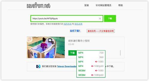 视频解析网站,一键获取海量视频资源