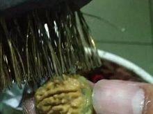 开青皮视频,揭秘神秘植物背后的神奇功效