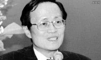 陈祖德视频,揭秘围棋大师的智慧与人生